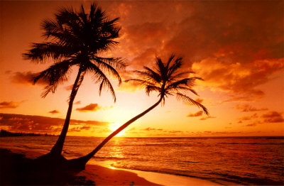 [2400-3591~Tropical-Beach-Sunset-Posters.jpg]