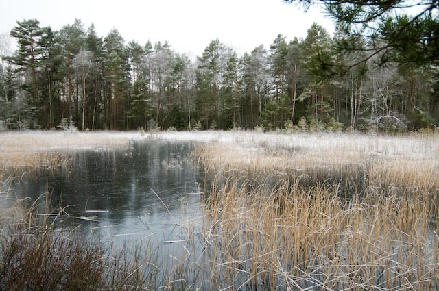 [MW-Småland-20071214-0563.jpg]