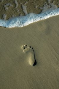 [749635_footprint_in_the_sand.jpg]