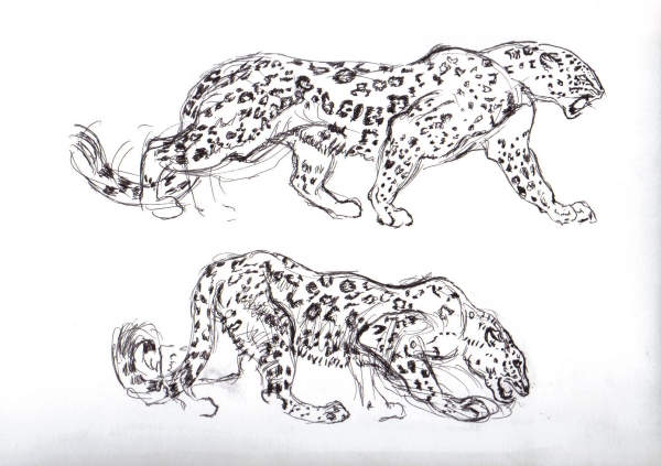 [jaguars.jpg]