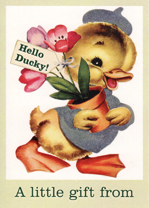 [hello+ducky.jpg]
