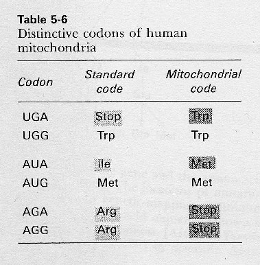 [codon+table1.jpg]