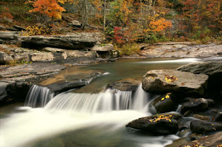 duvar katlar2 Fall+Color+Along+Stony+Clove+Creek,+Catskill+Park+and+Preserve,+New+York-798129
