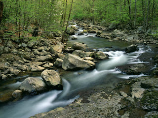 DUVAR KAITLARI Glade+Creek+in+Early+Spring,+New+River+Gorge+National+River,+West+Virginia-741811