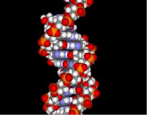 [DNA+strand.jpg]