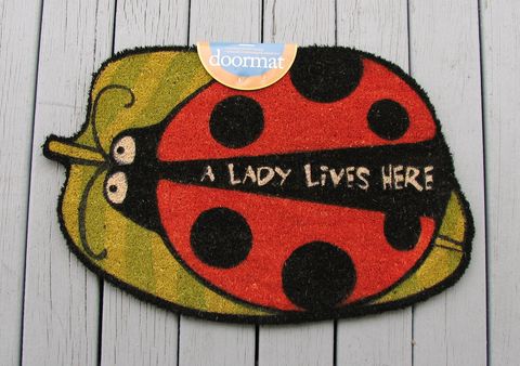[ladybug+mat.jpg]