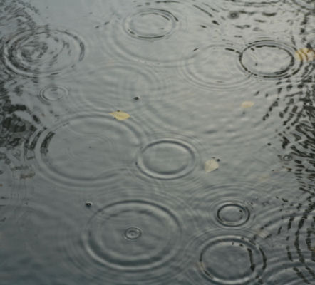 [rain_ripples_large.jpg]