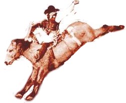 [back-in-the-saddle.jpg]