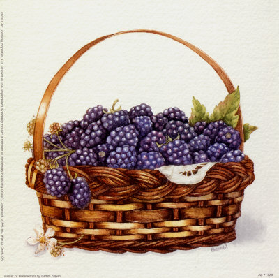 [AB71328~Basket-of-Blackberries-Posters.jpg]