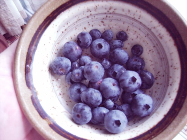 [Blueberry+Harvest+3.jpg]