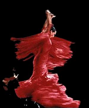 [flamenco[1].jpg]