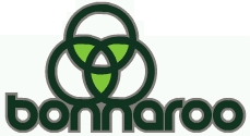 [Bonnaroo+Logo.jpg]