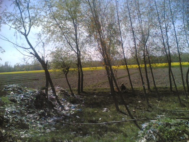 [Plastic_pollution_Kashmir.jpg]