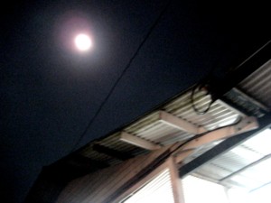[moon+1.jpg]