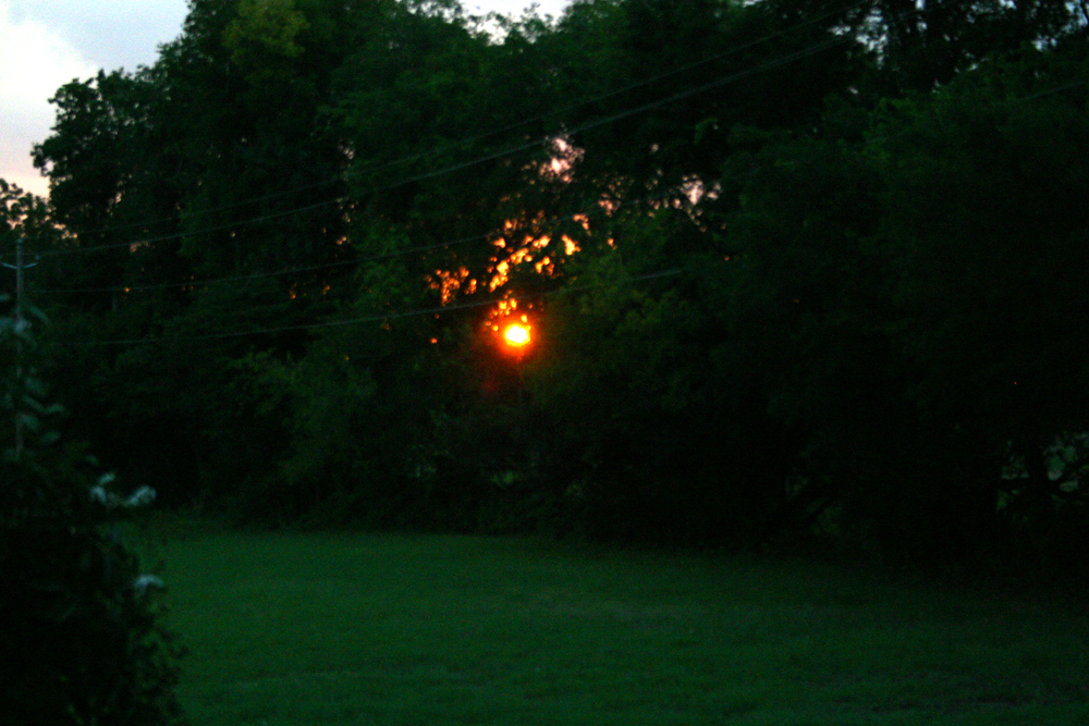 [sunset+in+trees+2.jpg]