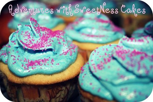 Adventures with SweetNess Cakes