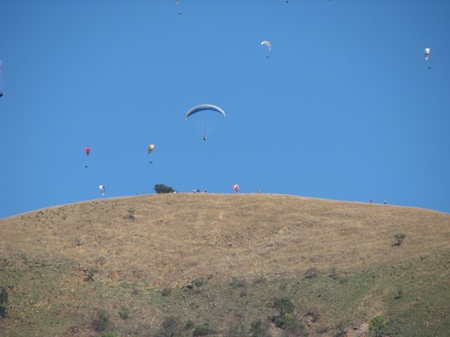 [paragliders+(2).jpg]