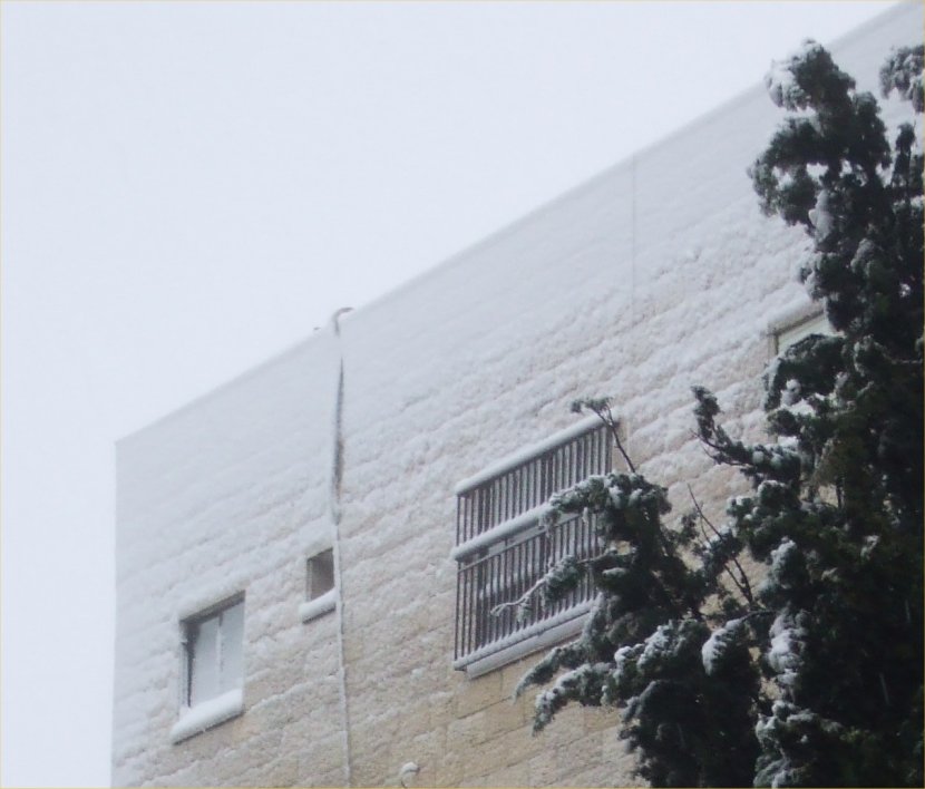 [08-Snow+on+Building.jpg]