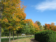 Laval in Fall