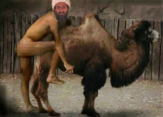 Fuck Camel 32