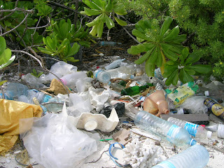 rifiuti sull'isola
