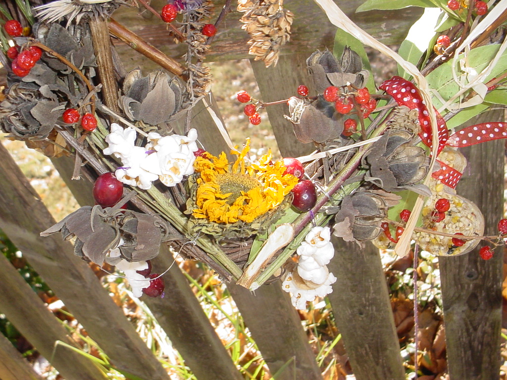 [December+31+Bird+Wreath+(3).JPG]