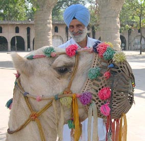 [Camel+at+Chandigarh.jpg]