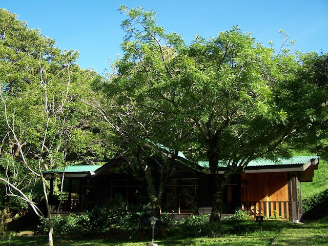 Habitación de El Sapo Dorado en Costa Rica