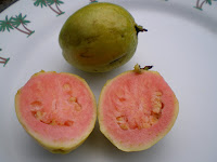 Guavas, picked fresh in Hawaii
