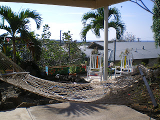 Hammock, chairs, and palm trees at the hostel in Kona Hawaii