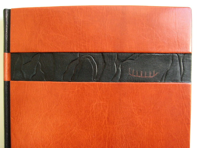 Full leather fine binding of Pyhät kuvat kalliossa, binding by Kaija Rantakari / paperiaarre.com