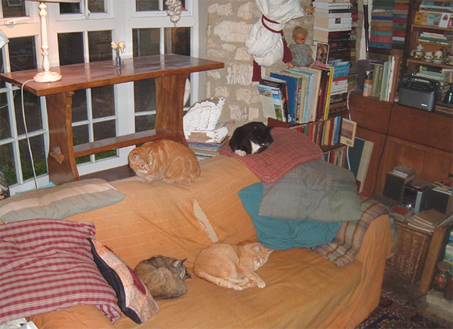 [cats-on-sofa.jpg]