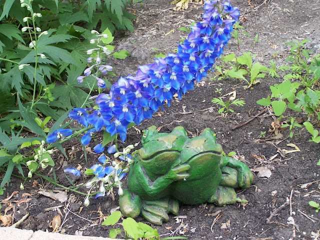 Frog Decor in perennial garden