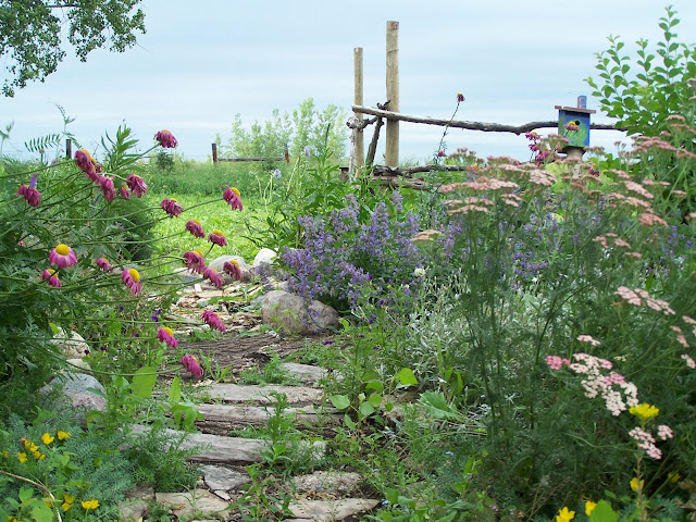 Pathway through perennial garden