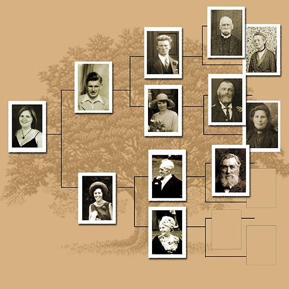[family-tree-march-07-4web.jpg]
