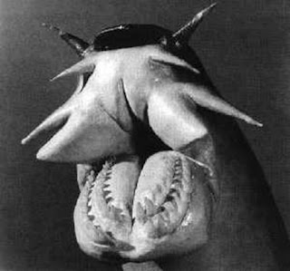 hagfish Os animais mais estranhos e esquisitos do mundo