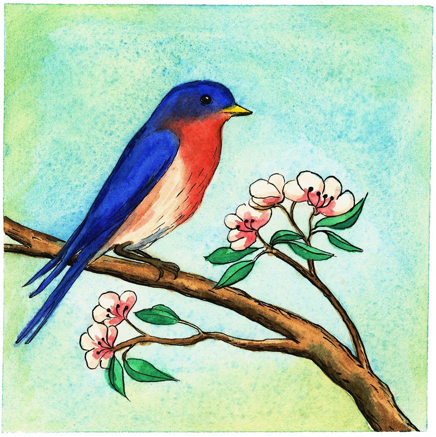 [bird_painting_blog.jpg]