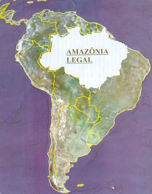 Amazônia | Maior Bioma Terrestre do Planeta