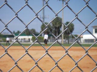 [Baseball_Fence.jpg]