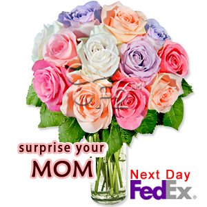 [Moms+Favorite+Roses.jpg]